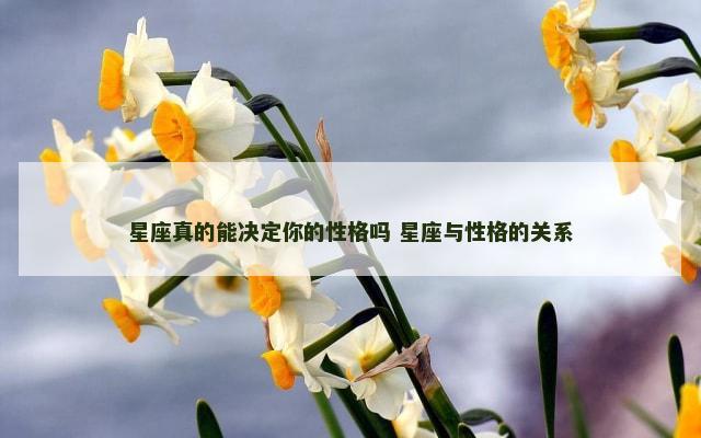 星座真的能决定你的性格吗 星座与性格的关系