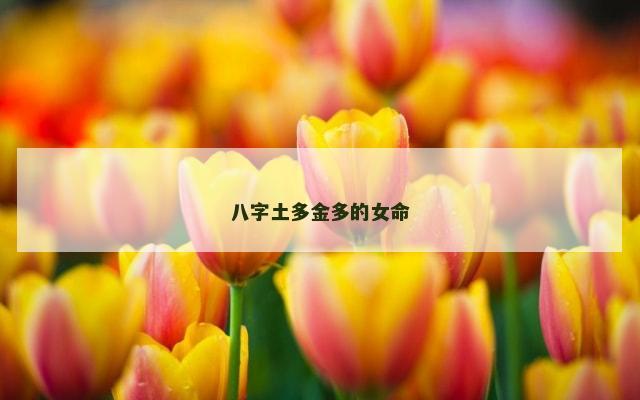 八字土多金多的女命
