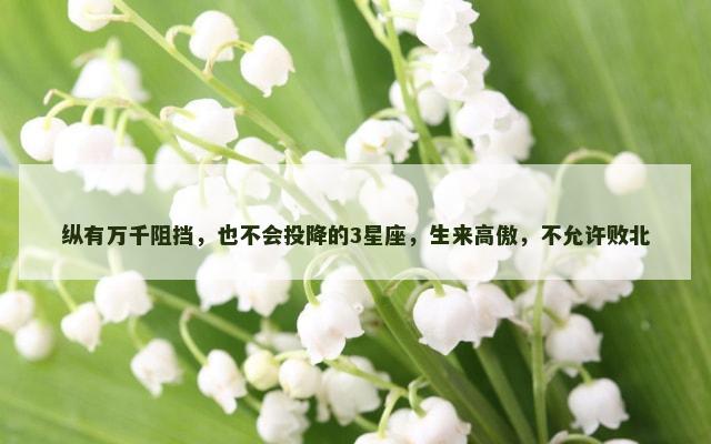 纵有万千阻挡，也不会投降的3星座，生来高傲，不允许败北