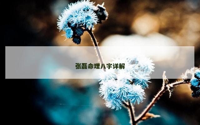 张磊命理八字详解