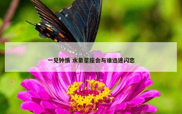 一见钟情 水象星座会与谁迅速闪恋