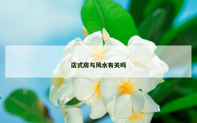 店式房与风水有关吗