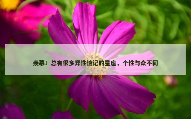 羡慕！总有很多异性惦记的星座，个性与众不同