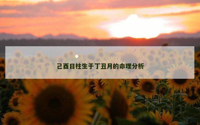 己酉日柱生于丁丑月的命理分析
