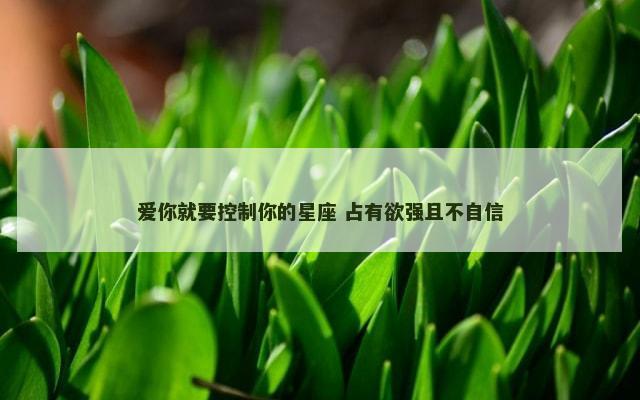 爱你就要控制你的星座 占有欲强且不自信