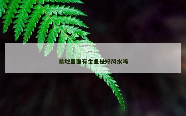 墓地里面有金鱼是好风水吗