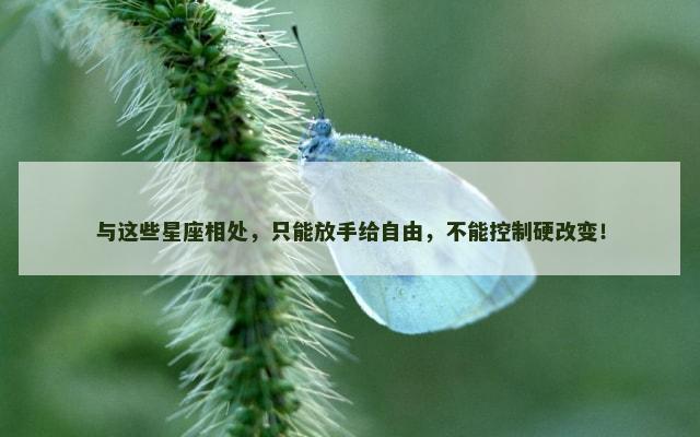 与这些星座相处，只能放手给自由，不能控制硬改变！