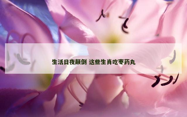 生活日夜颠倒 这些生肖吃枣药丸