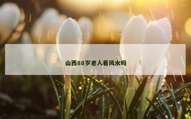 山西88岁老人看风水吗