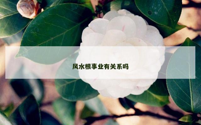 风水根事业有关系吗
