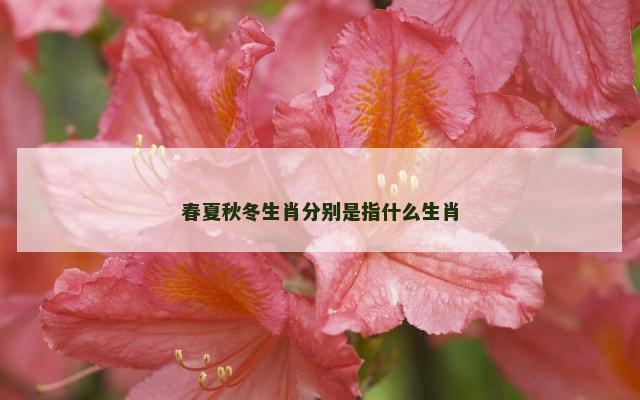 春夏秋冬生肖分别是指什么生肖