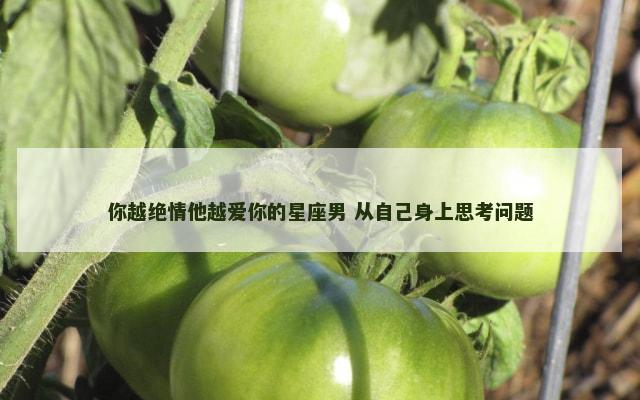你越绝情他越爱你的星座男 从自己身上思考问题