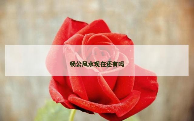 杨公风水现在还有吗