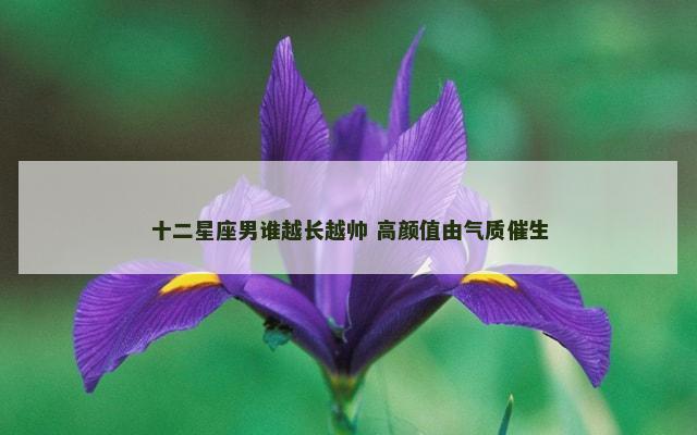 十二星座男谁越长越帅 高颜值由气质催生
