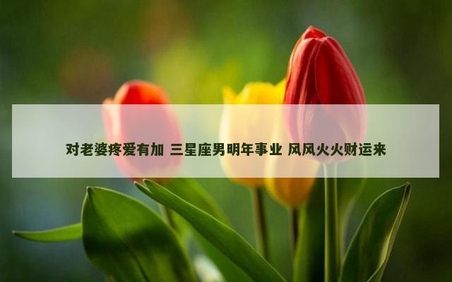 对老婆疼爱有加 三星座男明年事业 风风火火财运来