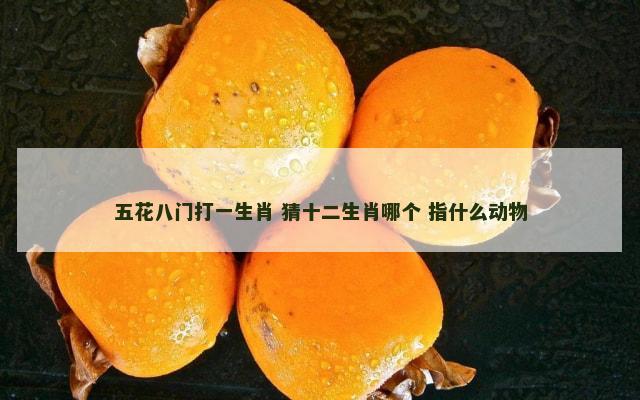 五花八门打一生肖 猜十二生肖哪个 指什么动物