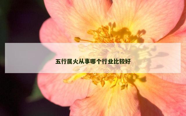 五行属火从事哪个行业比较好