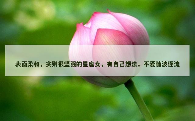 表面柔和，实则很坚强的星座女，有自己想法，不爱随波逐流