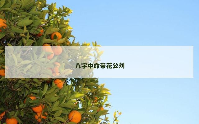 八字中命带花公刘