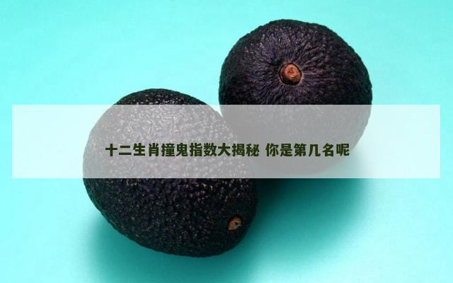 十二生肖撞鬼指数大揭秘 你是第几名呢