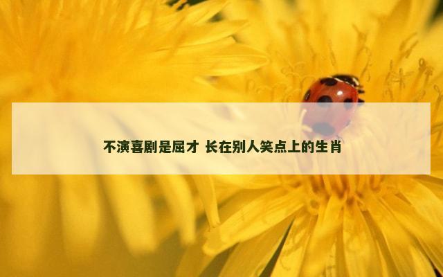 不演喜剧是屈才 长在别人笑点上的生肖