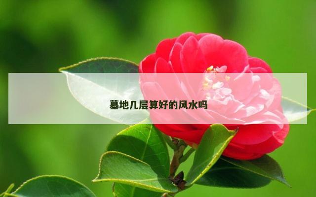 墓地几层算好的风水吗