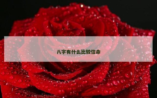 八字有什么比较信命