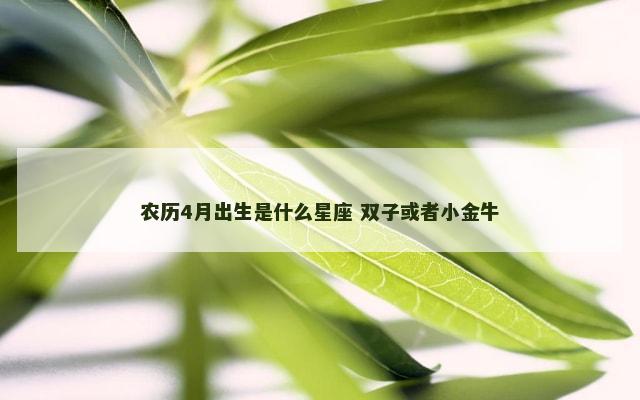 农历4月出生是什么星座 双子或者小金牛