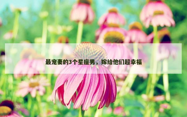 最宠妻的3个星座男，嫁给他们超幸福