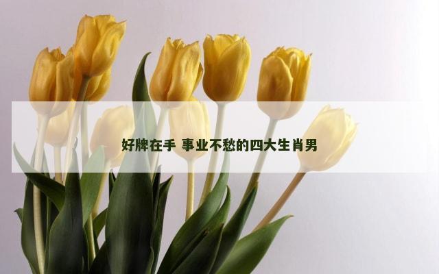 好牌在手 事业不愁的四大生肖男