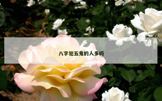八字犯五鬼的人多吗