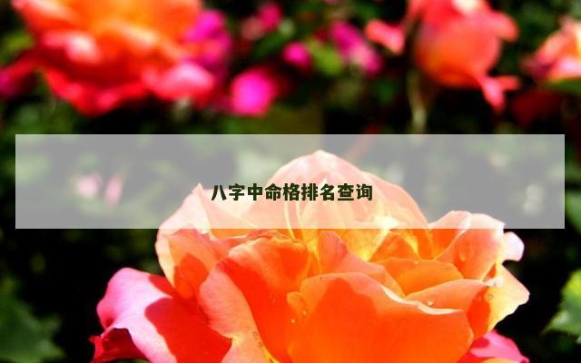 八字中命格排名查询