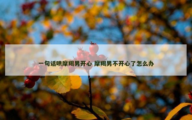 一句话哄摩羯男开心 摩羯男不开心了怎么办