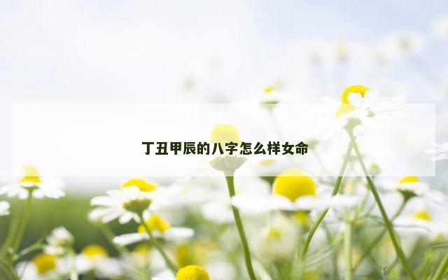 丁丑甲辰的八字怎么样女命