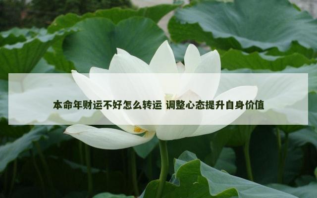 本命年财运不好怎么转运 调整心态提升自身价值