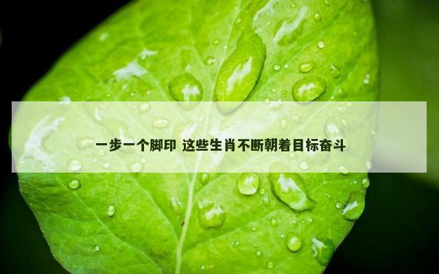 一步一个脚印 这些生肖不断朝着目标奋斗