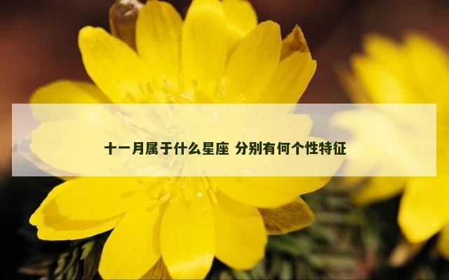 十一月属于什么星座 分别有何个性特征
