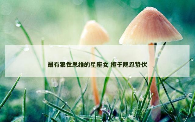 最有狼性思维的星座女 擅于隐忍蛰伏