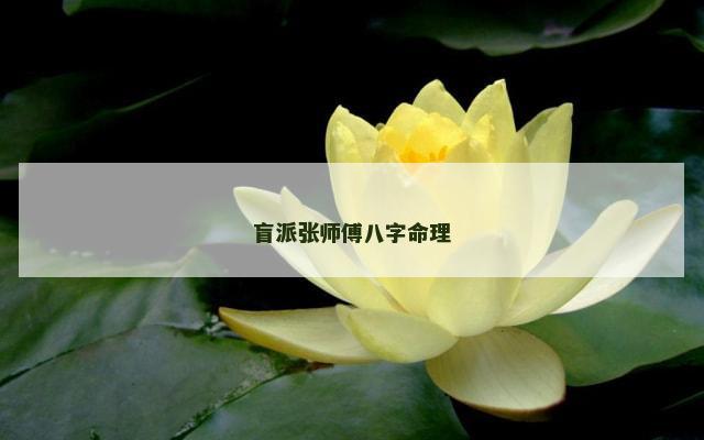 盲派张师傅八字命理