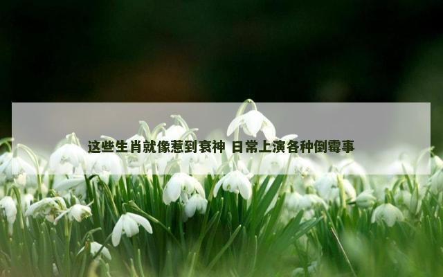 这些生肖就像惹到衰神 日常上演各种倒霉事