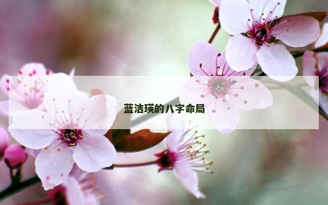 蓝洁瑛的八字命局
