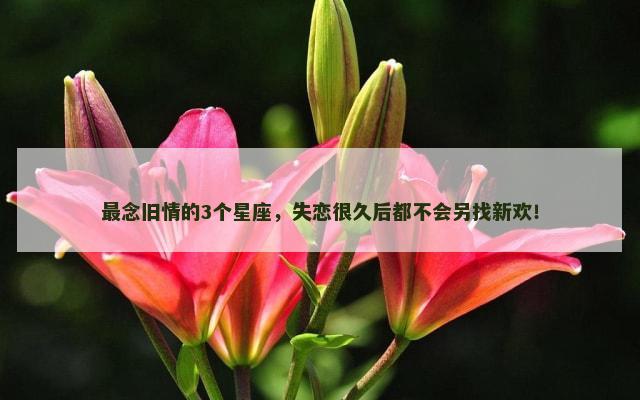 最念旧情的3个星座，失恋很久后都不会另找新欢！