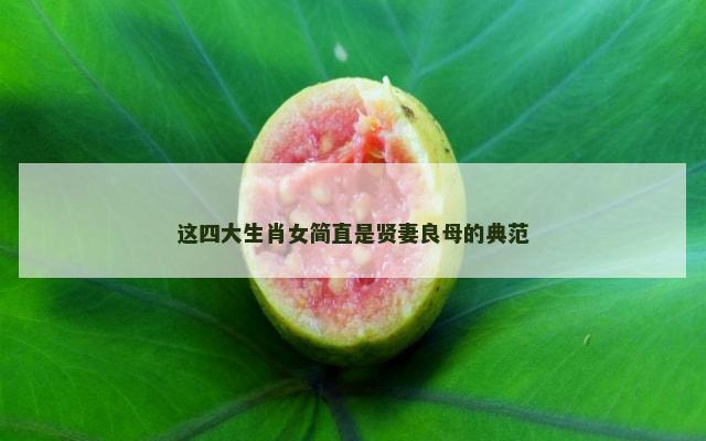 这四大生肖女简直是贤妻良母的典范