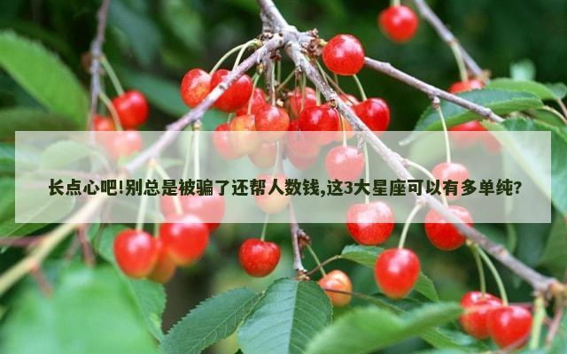 长点心吧!别总是被骗了还帮人数钱,这3大星座可以有多单纯?