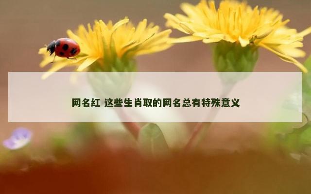 网名红 这些生肖取的网名总有特殊意义