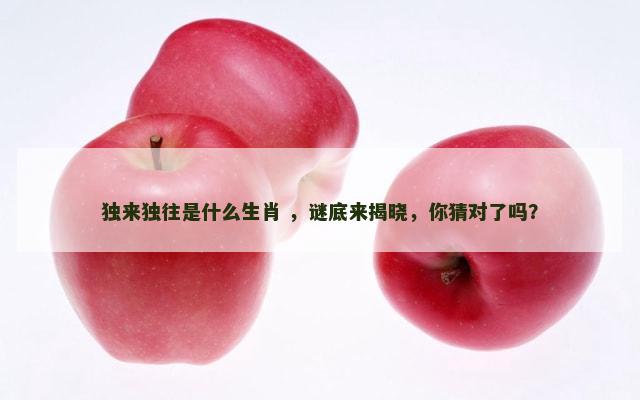 独来独往是什么生肖 ，谜底来揭晓，你猜对了吗？