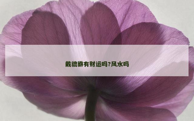 戴貔貅有财运吗?风水吗