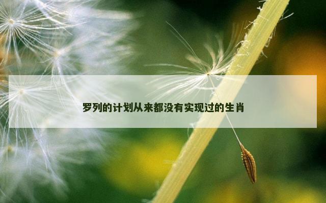 罗列的计划从来都没有实现过的生肖