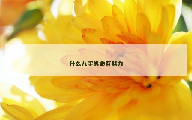 什么八字男命有魅力