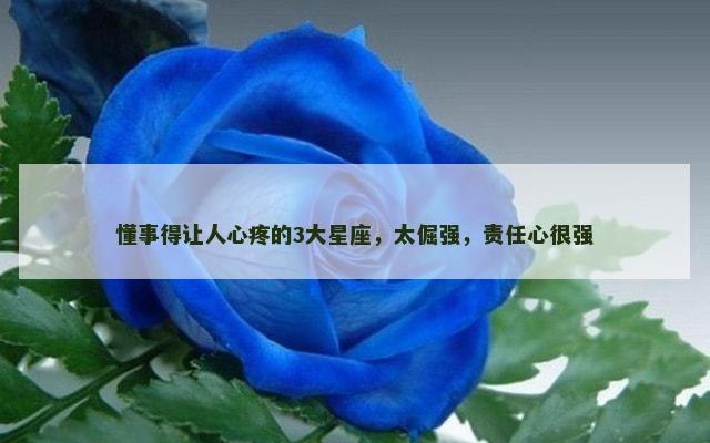 懂事得让人心疼的3大星座，太倔强，责任心很强